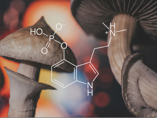 Experimentální léčba deprese psilocybinem