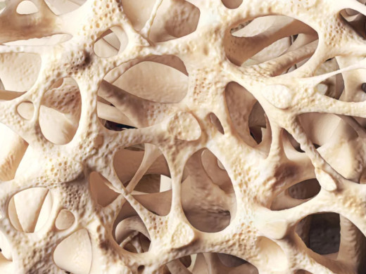 Praktičtí lékaři se zapojí do prevence, včasného záchytu i léčby osteoporózy
