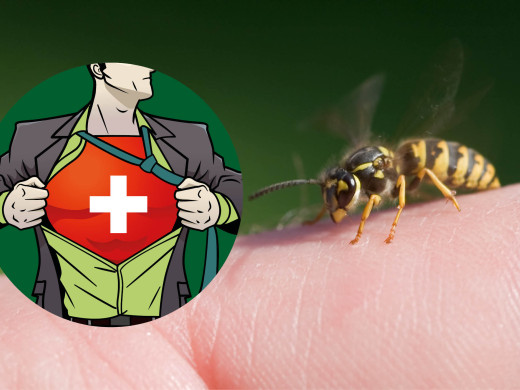 Alergické a anafylaktické reakcie
